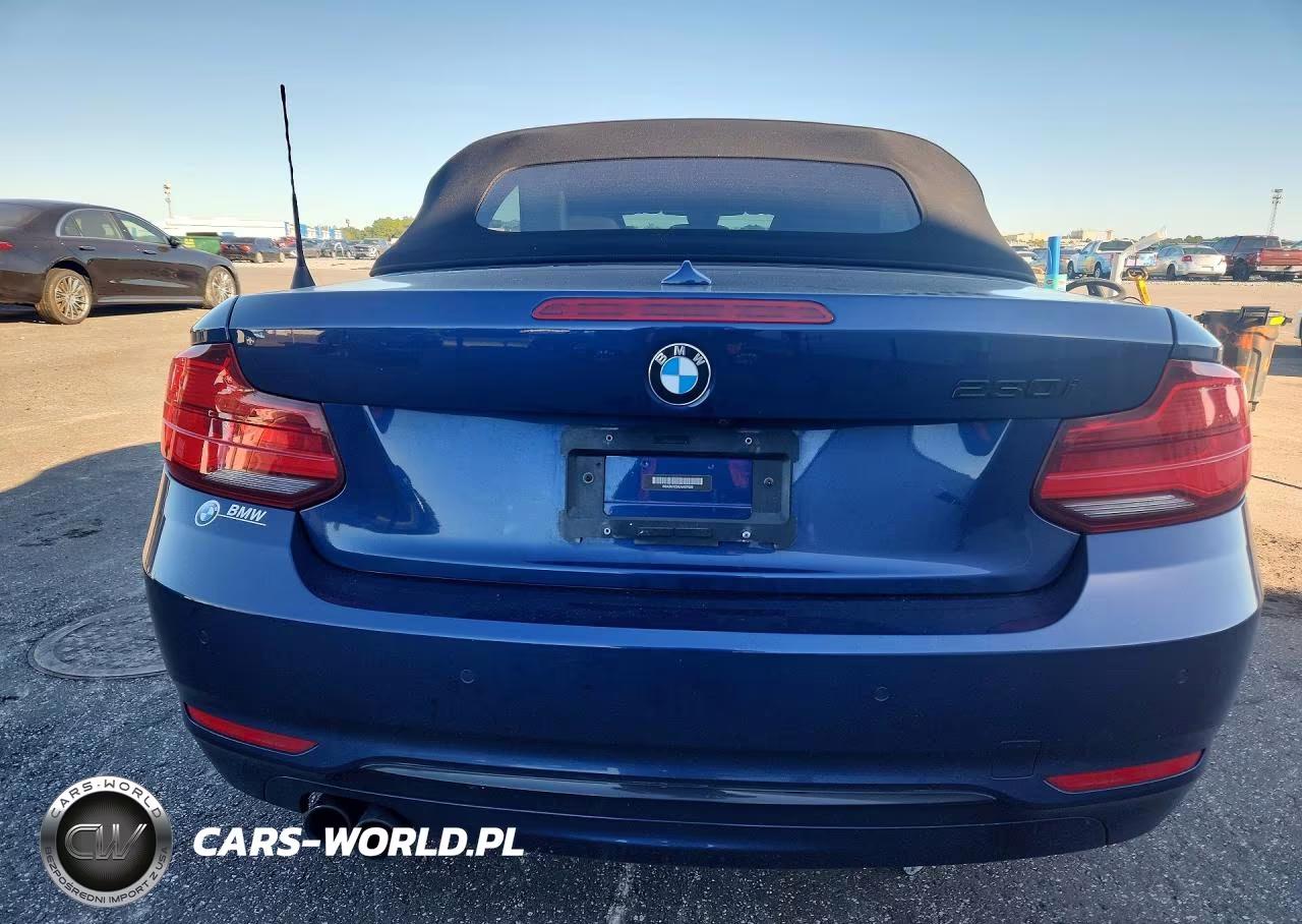 2018 BMW 230I VIN:WBA2M7C56JVA97626 - 6