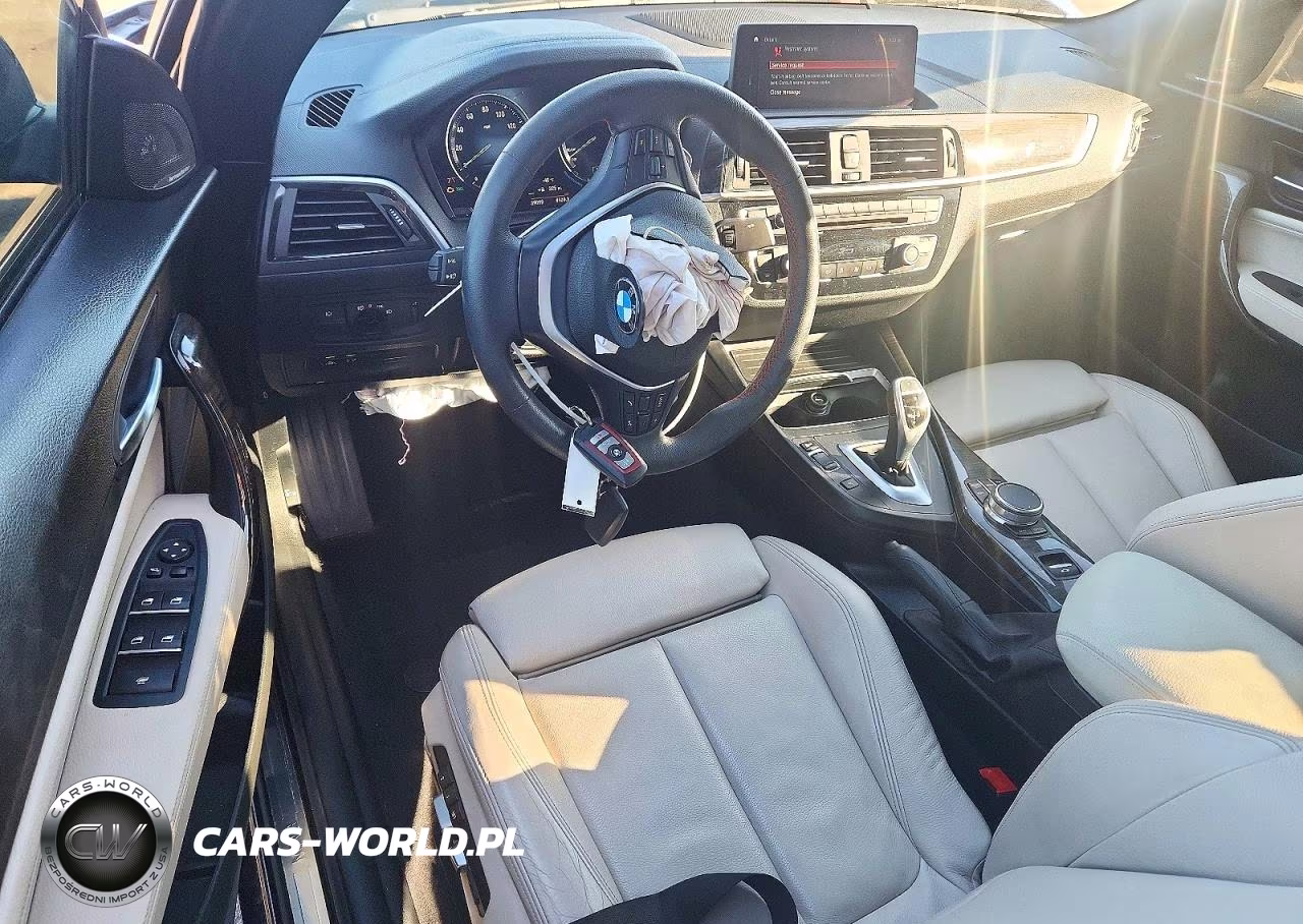 2018 BMW 230I VIN:WBA2M7C56JVA97626 - 8