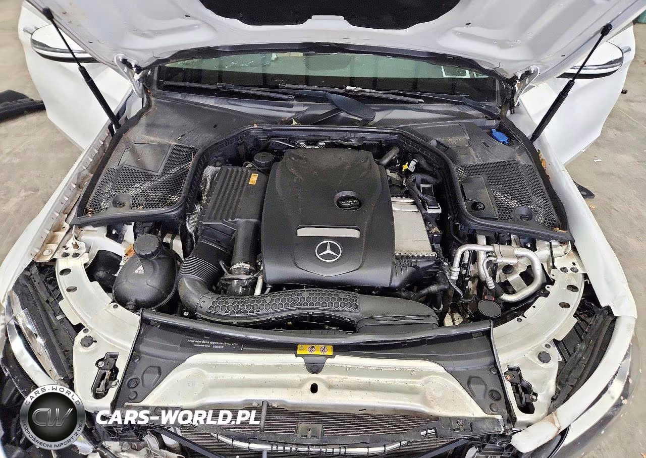 2017 Mercedes-Benz C 300 4Matic VIN:55SWF4KB1HU205336 - 11