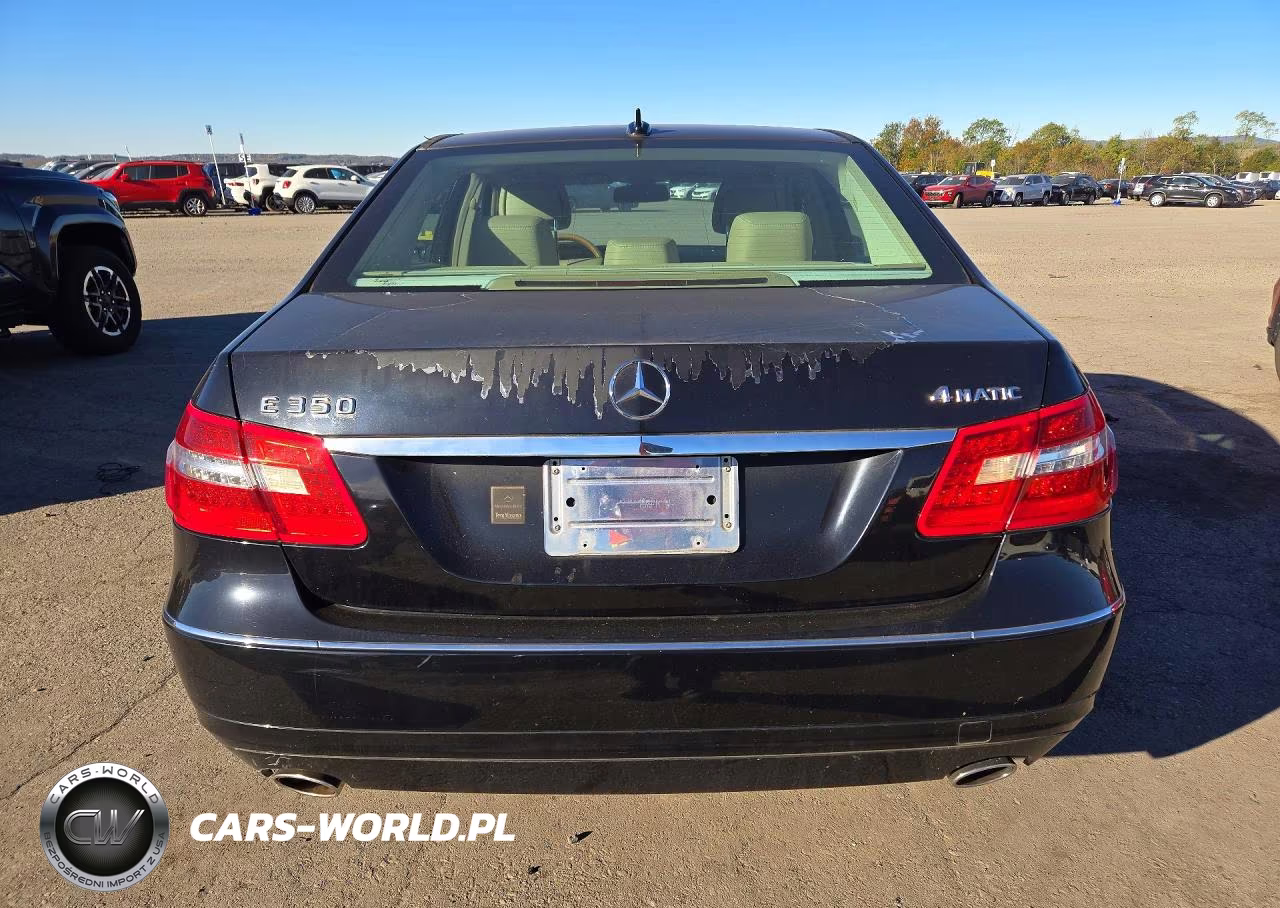 2010 Mercedes-Benz E 350 4Matic VIN:WDDHF8HB1AA239080 - 6