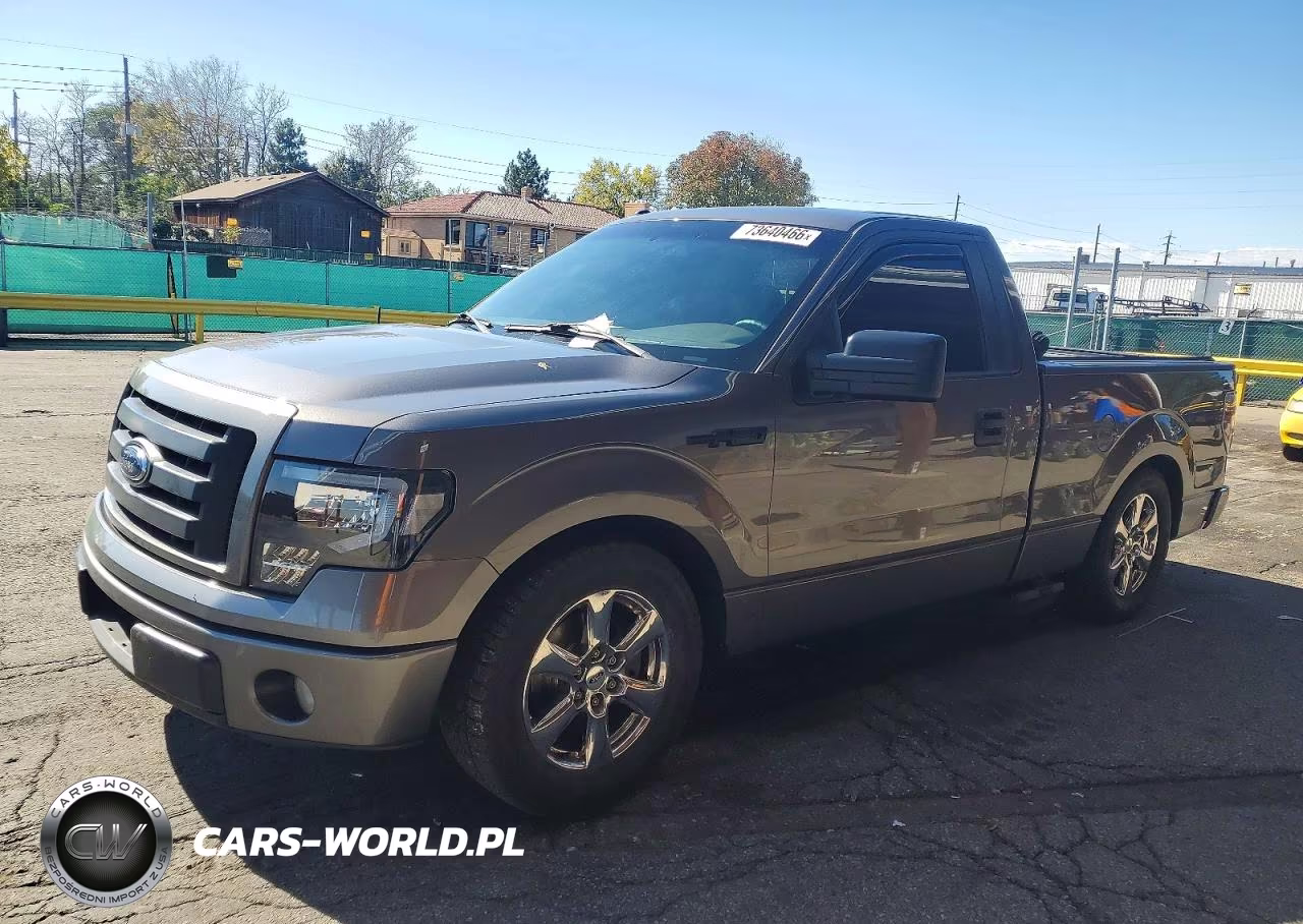 2009 Ford F150