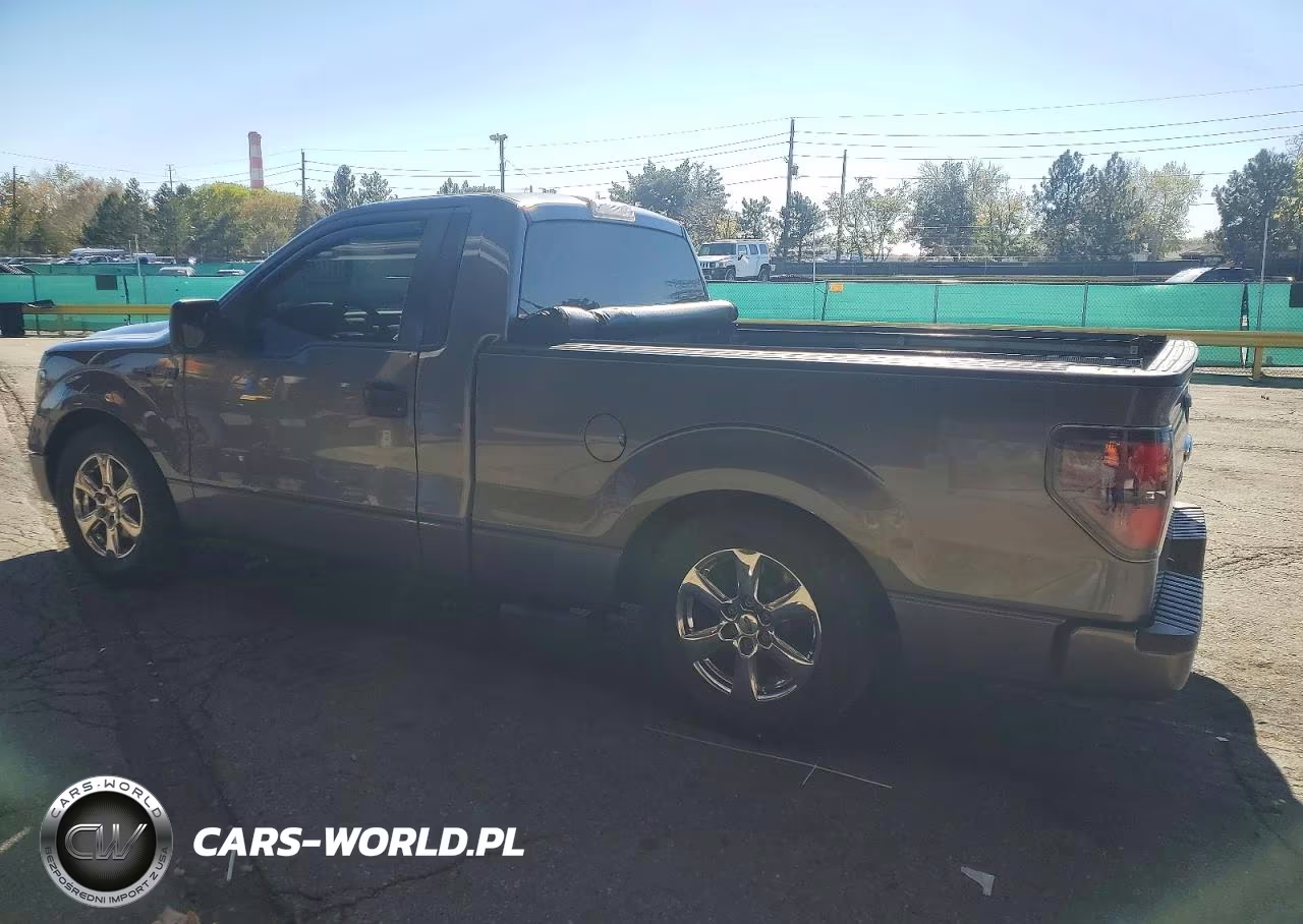 2009 Ford F150 VIN:1FTRF12W39KB05551 - 2