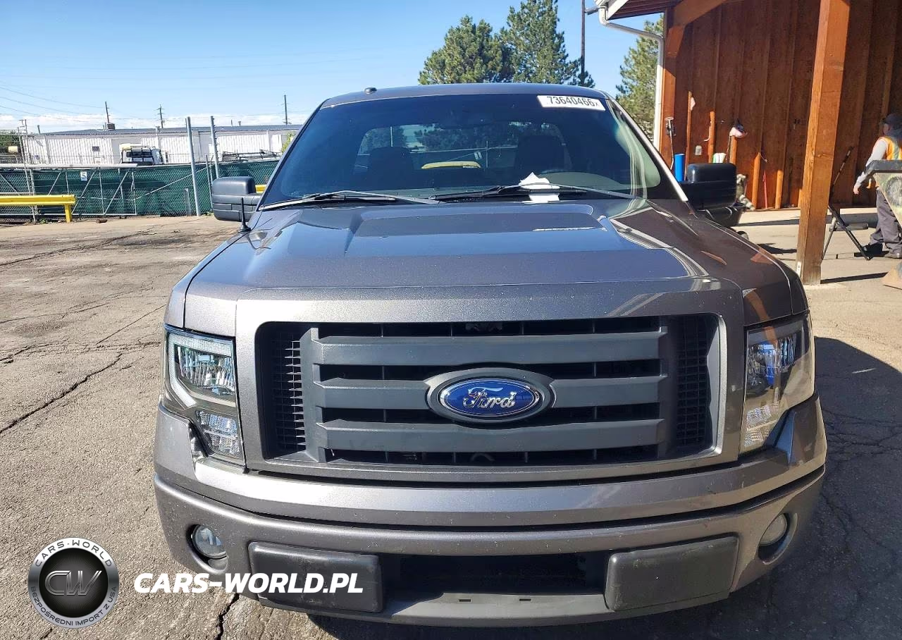2009 Ford F150 VIN:1FTRF12W39KB05551 - 5