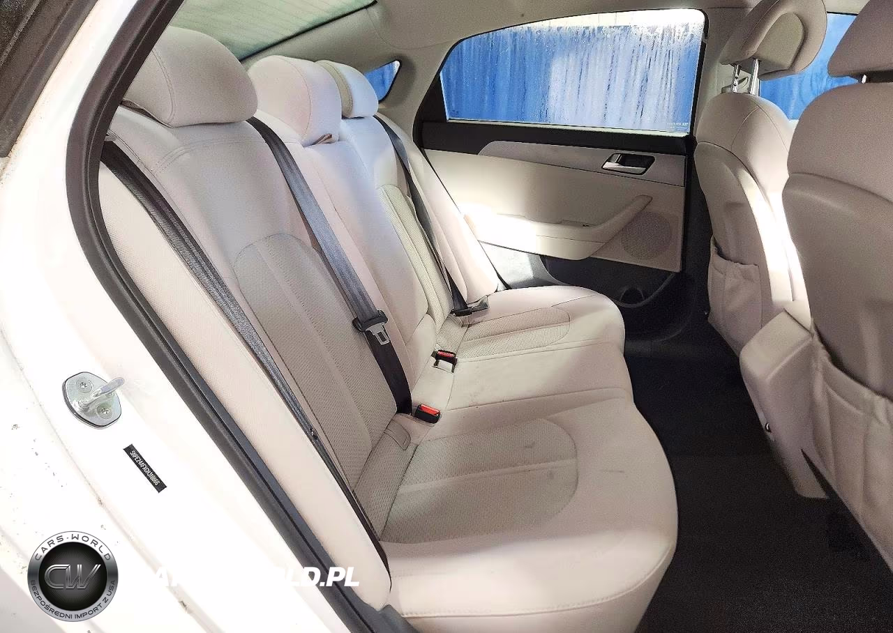 2016 Hyundai Sonata Se VIN:5NPE24AFXGH318666 - 10