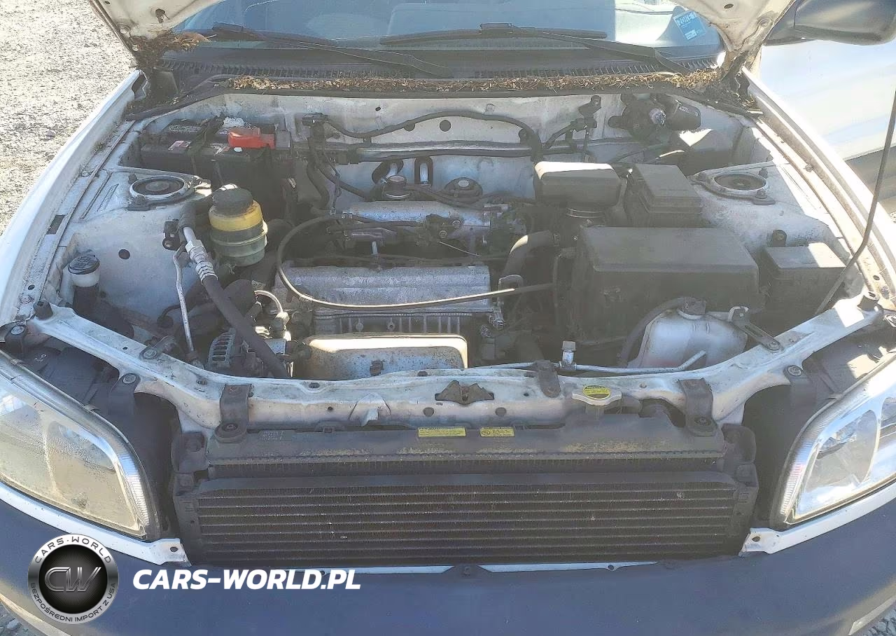 1999 Toyota Rav4 Base VIN:JT3GP10V8X0035847 - 12