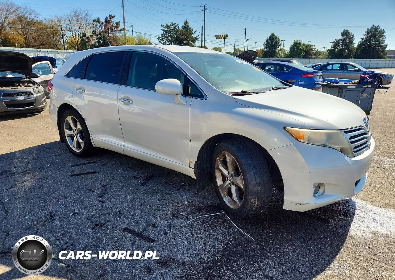 2010 Toyota Venza Awd V6 VIN:4T3BK3BB6AU040017 - 4