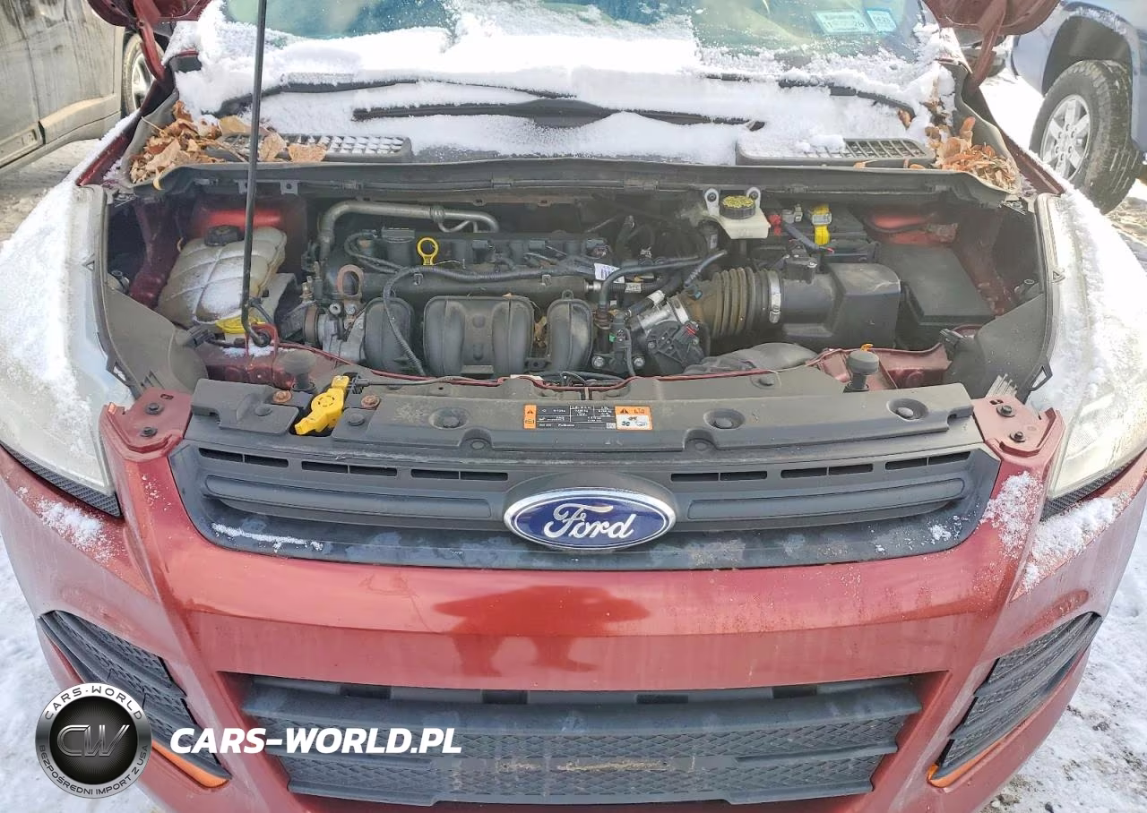 2014 Ford Escape S VIN:1FMCU0F70EUB91338 - 12