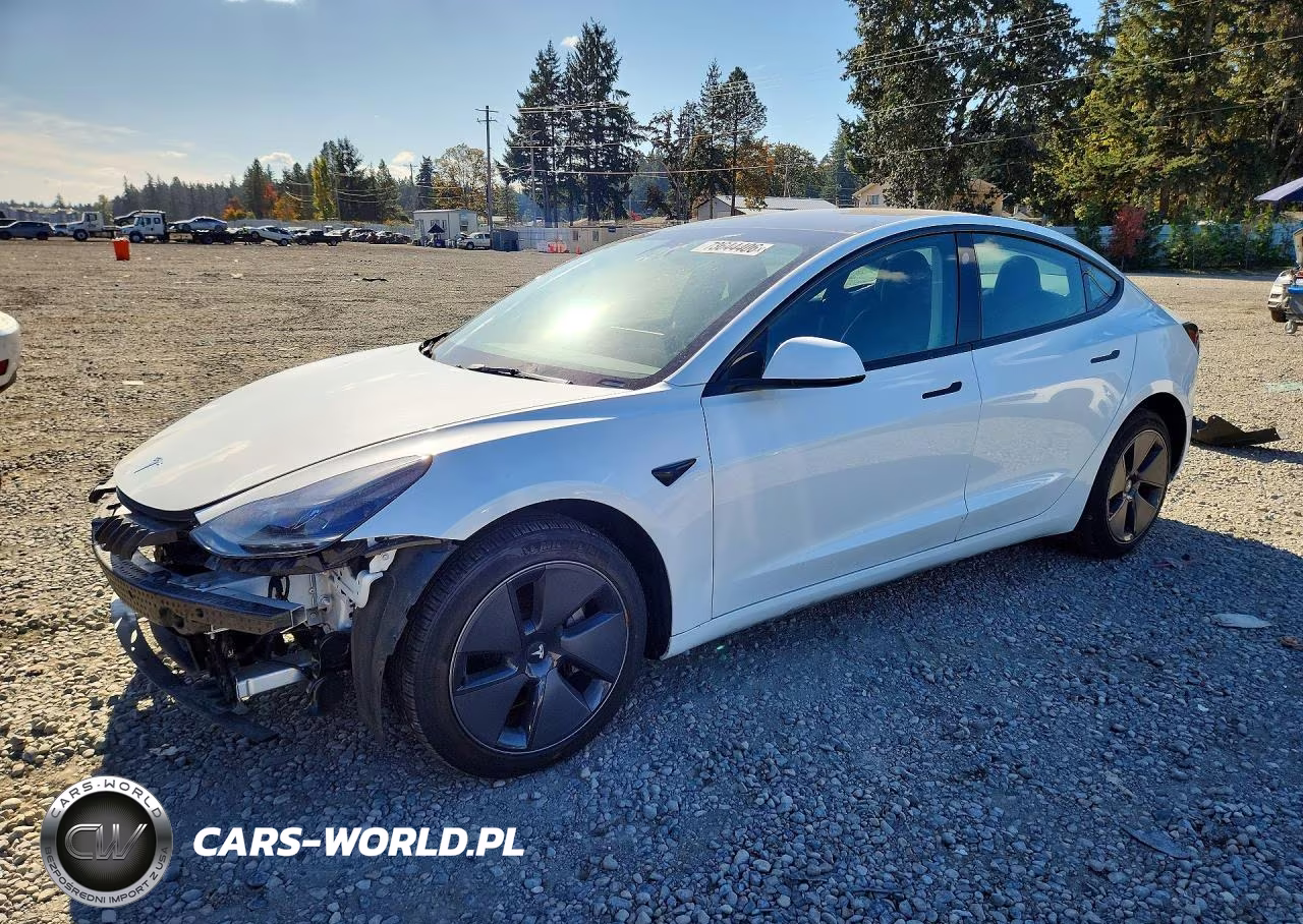 2023 Tesla Model 3 VIN:5YJ3E1EA0PF607159 - 1