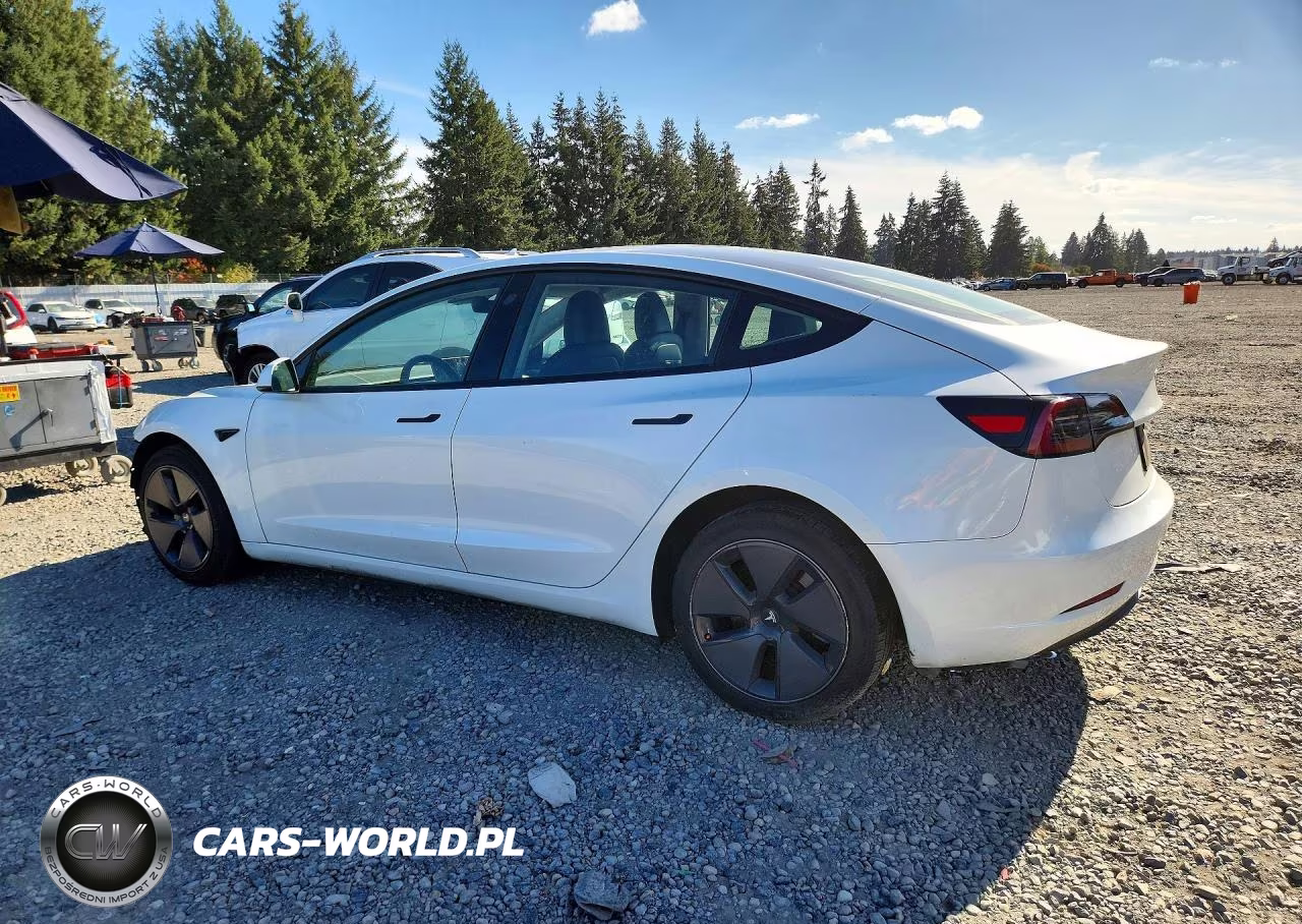 2023 Tesla Model 3 VIN:5YJ3E1EA0PF607159 - 2