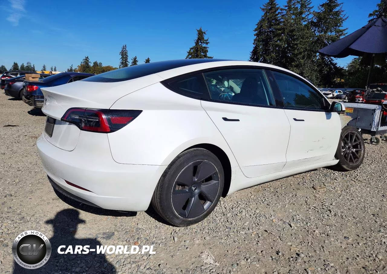 2023 Tesla Model 3 VIN:5YJ3E1EA0PF607159 - 3
