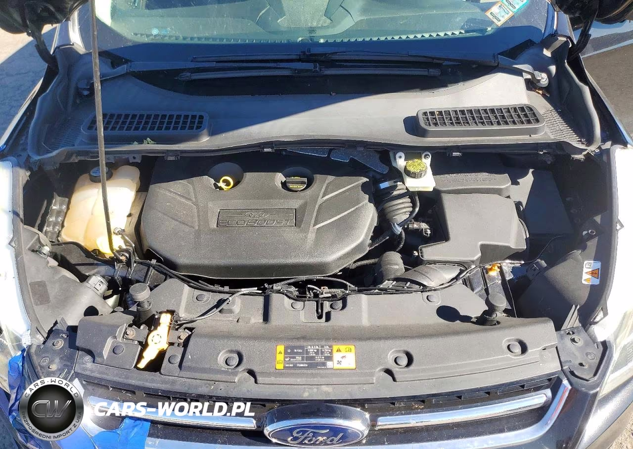 2013 Ford Escape Titanium VIN:1FMCU9J97DUA76523 - 12