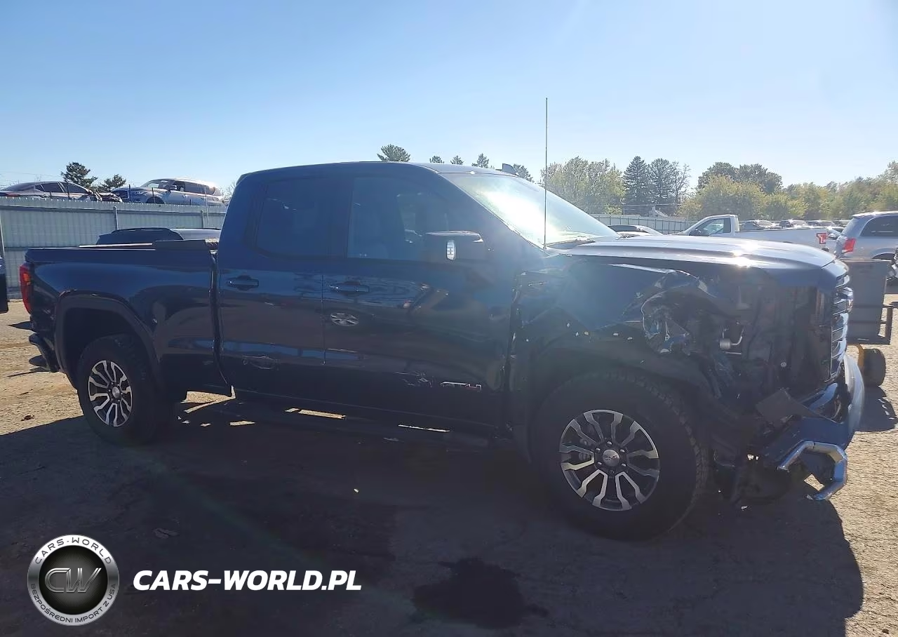 2020 GMC Sierra K1500 At4 VIN:1GTR9EED3LZ264853 - 4
