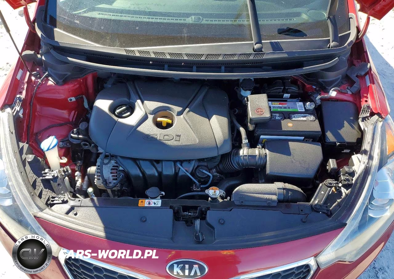 2016 Kia Forte Ex VIN:KNAFZ4A87G5491348 - 11