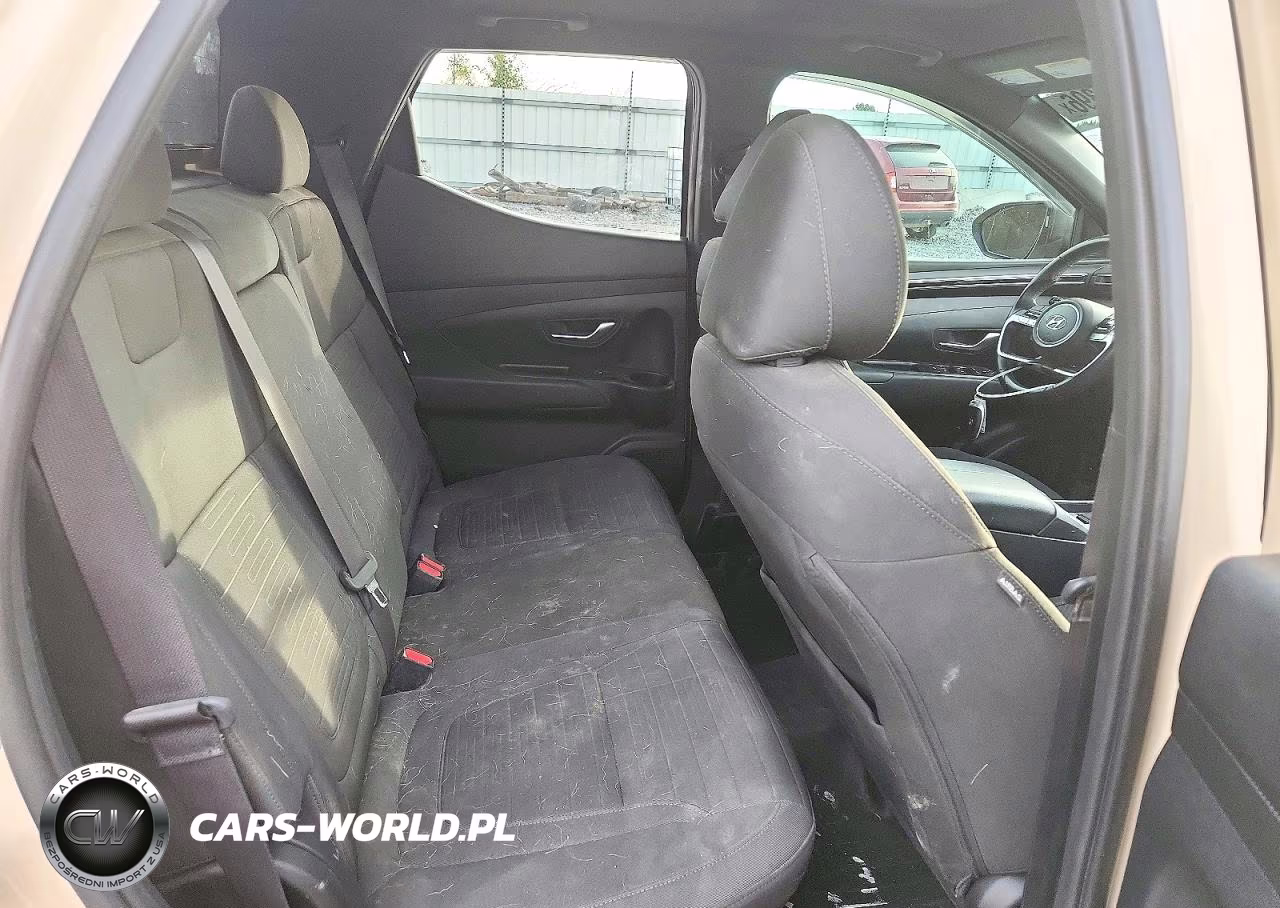 2022 Hyundai Santa Cruz Sel Premium VIN:5NTJDDAF9NH010413 - 10