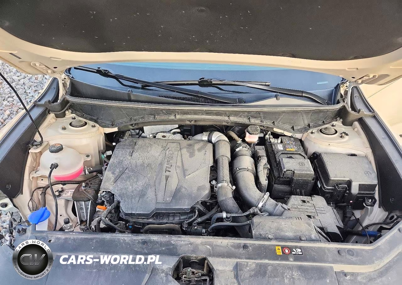 2022 Hyundai Santa Cruz Sel Premium VIN:5NTJDDAF9NH010413 - 11