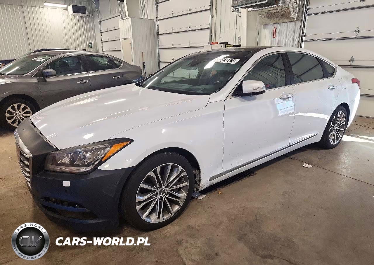 2015 Hyundai Genesis 3.8L VIN:KMHGN4JE4FU102531 - 1