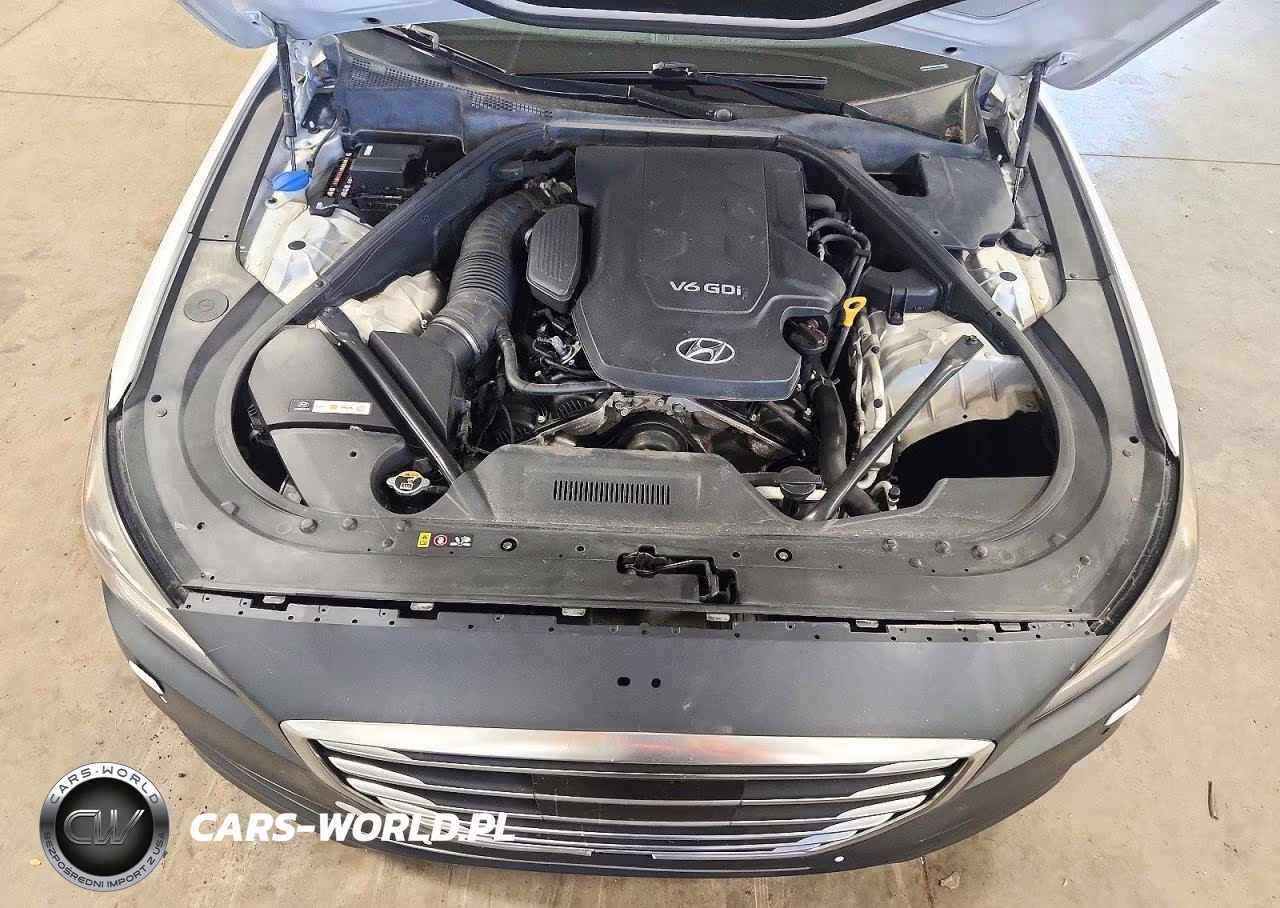 2015 Hyundai Genesis 3.8L VIN:KMHGN4JE4FU102531 - 11