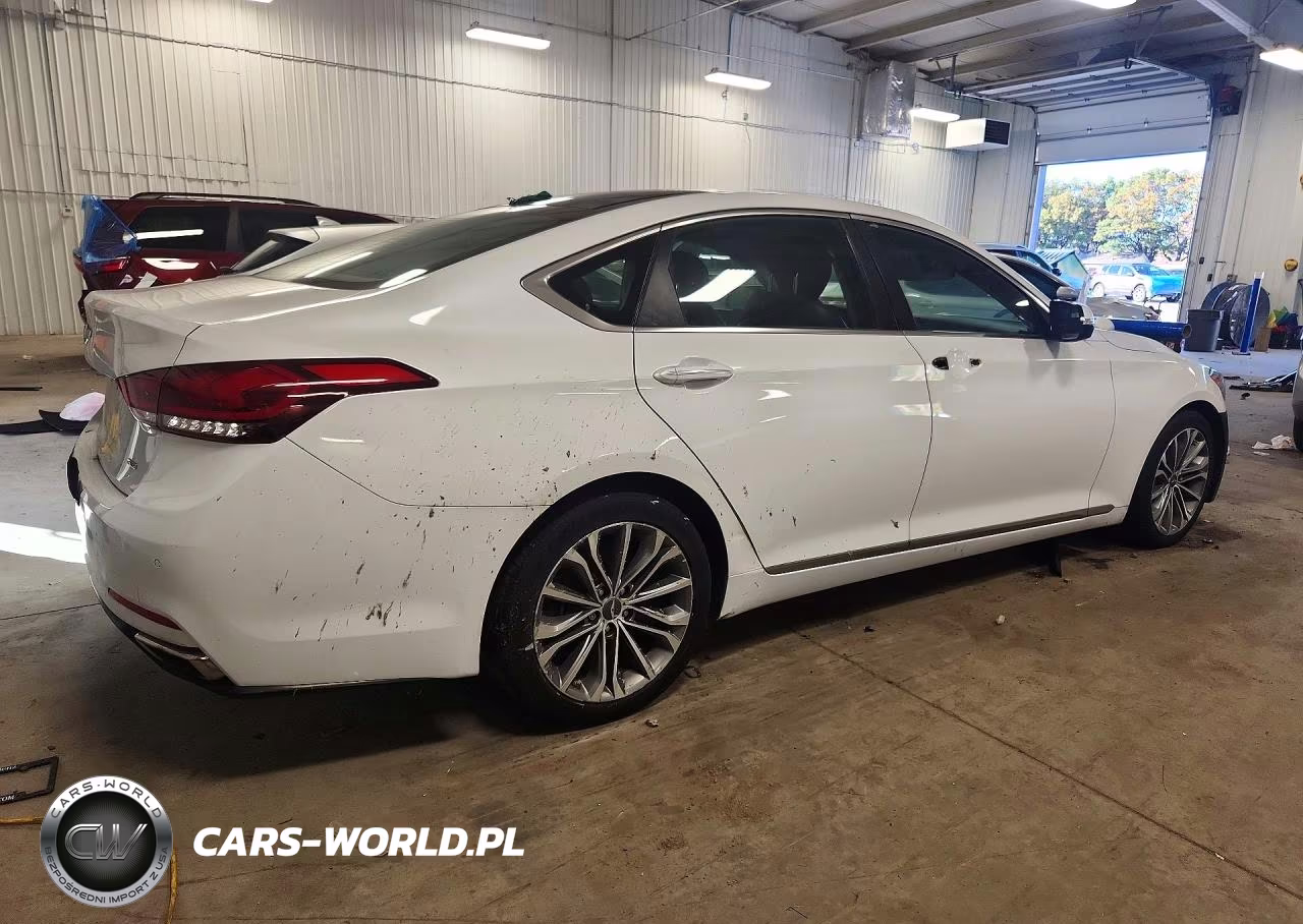 2015 Hyundai Genesis 3.8L VIN:KMHGN4JE4FU102531 - 3