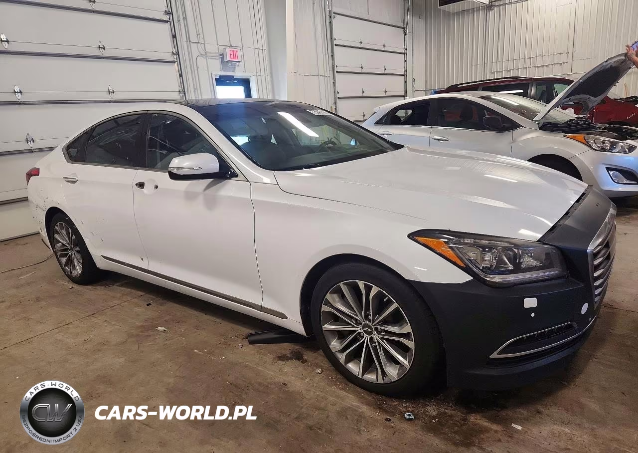 2015 Hyundai Genesis 3.8L VIN:KMHGN4JE4FU102531 - 4