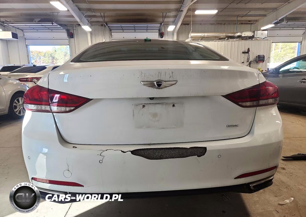 2015 Hyundai Genesis 3.8L VIN:KMHGN4JE4FU102531 - 6