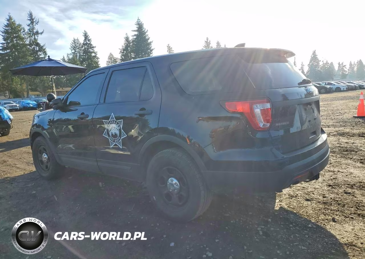 2016 Ford Explorer Police Interceptor VIN:1FM5K8AR2GGD31879 - 2