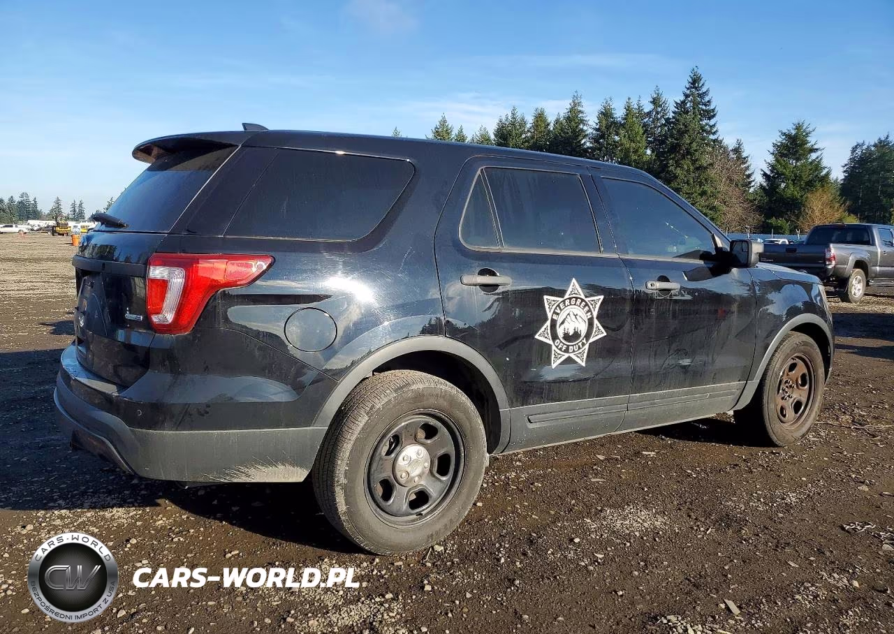 2016 Ford Explorer Police Interceptor VIN:1FM5K8AR2GGD31879 - 3