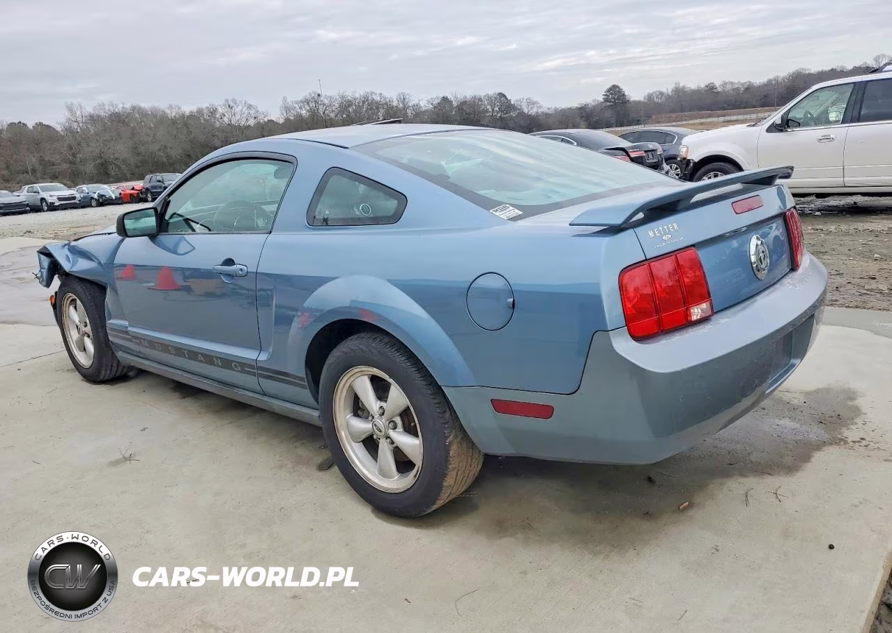 2006 Ford Mustang VIN:1ZVFT80N965237896 - 2
