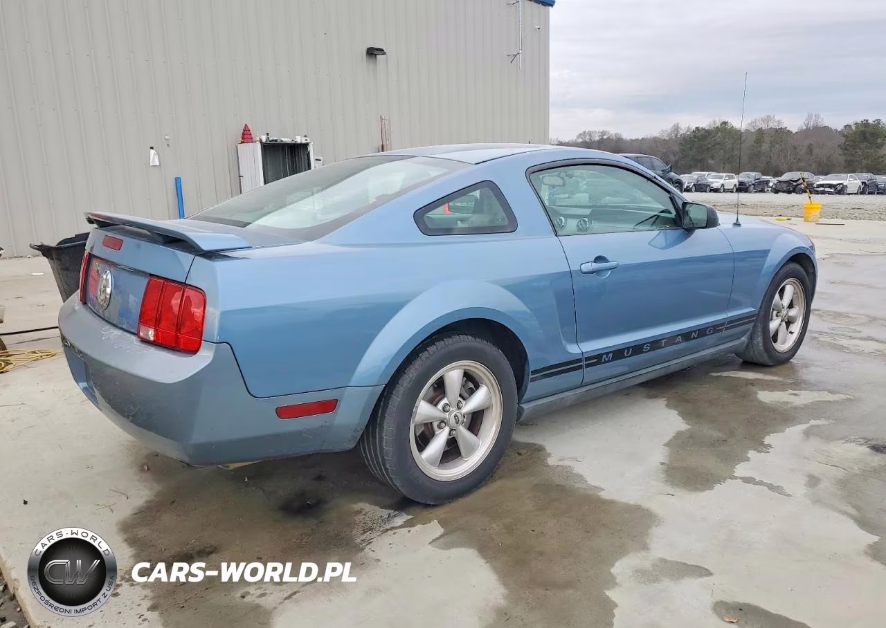 2006 Ford Mustang VIN:1ZVFT80N965237896 - 3