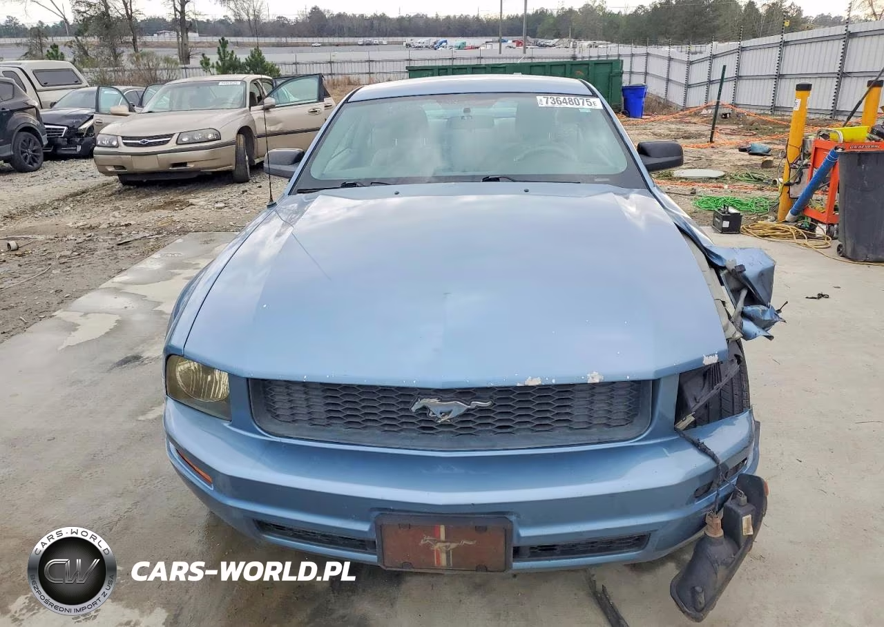 2006 Ford Mustang VIN:1ZVFT80N965237896 - 5