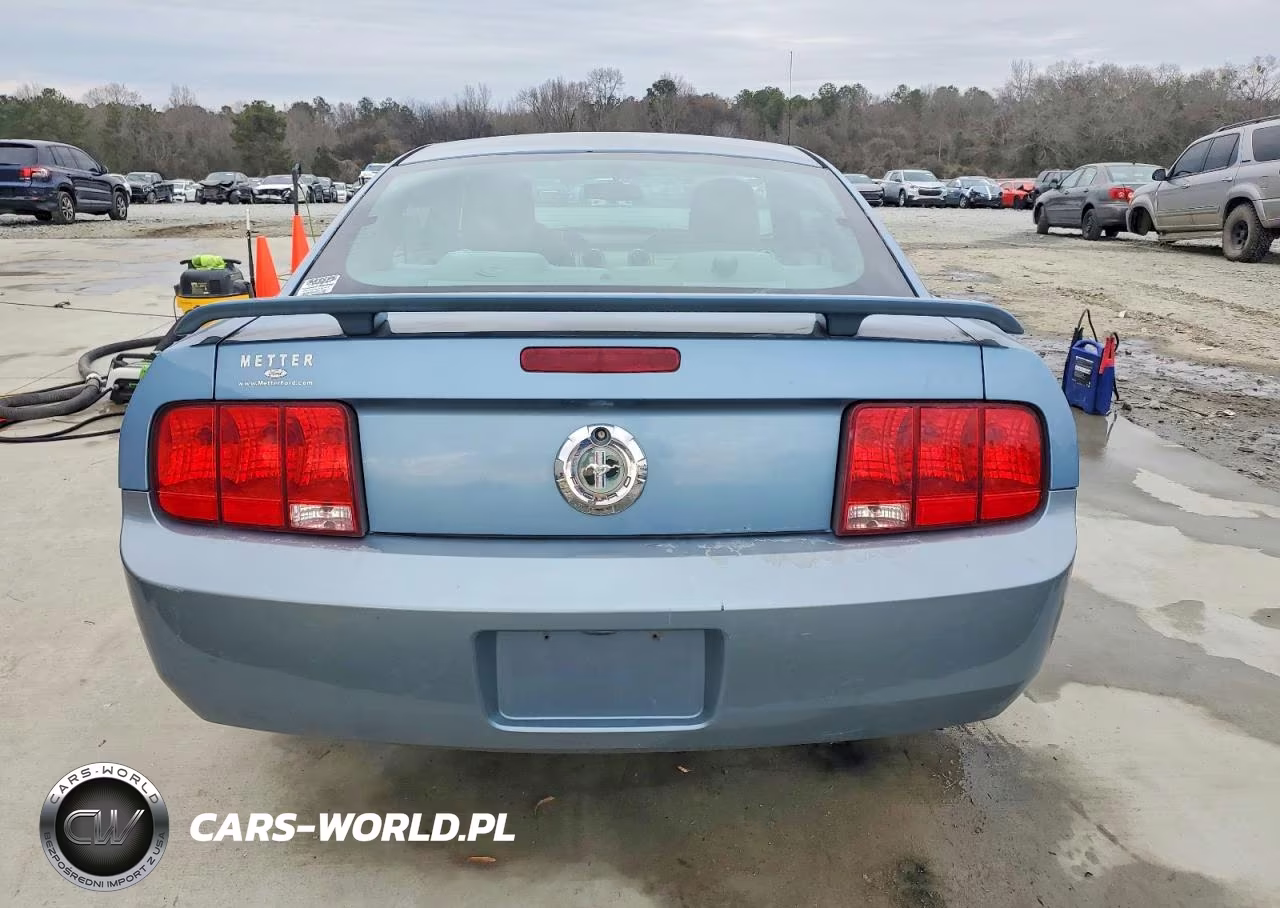 2006 Ford Mustang VIN:1ZVFT80N965237896 - 6