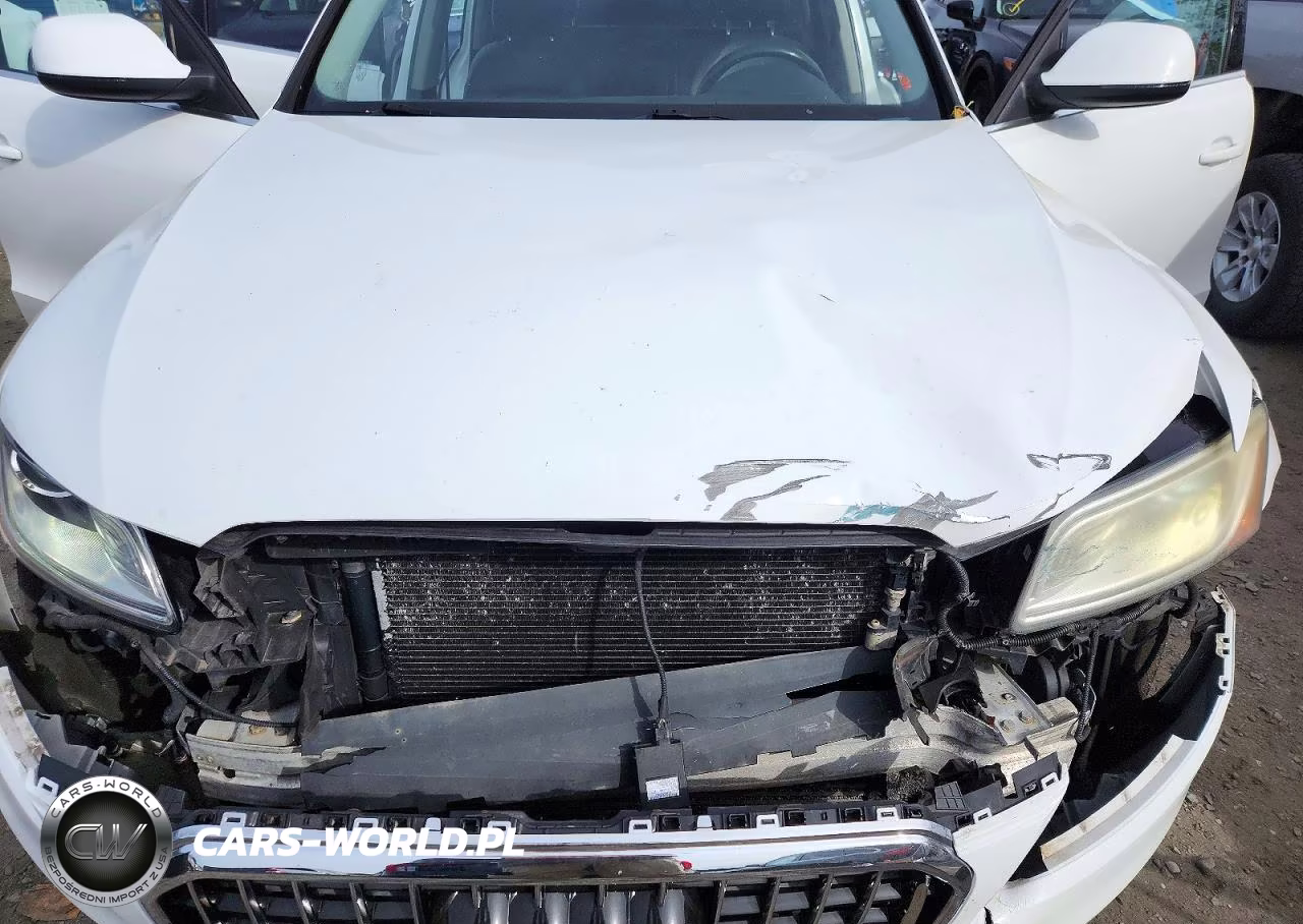 2013 Audi Q5 Premium VIN:WA1CFAFP6DA088925 - 12