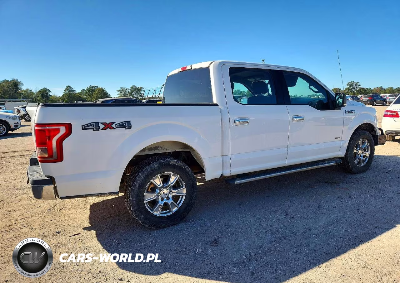 2017 Ford F150 Supercrew VIN:1FTEW1EP7HFA76601 - 3