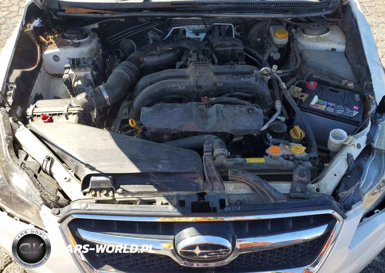 2013 Subaru Xv Crosstrek 2.0 Premium VIN:JF2GPAVC6D2819979 - 11