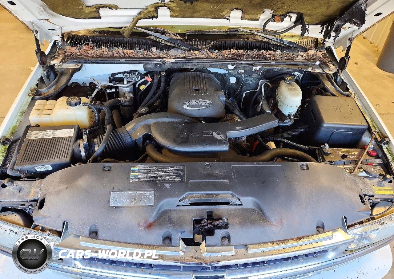 2004 Chevrolet Tahoe Lt VIN:1GNEK13Z84R171572 - 12