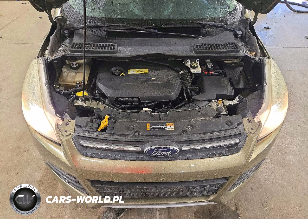 2013 Ford Escape Se VIN:1FMCU0GX1DUD85888 - 12