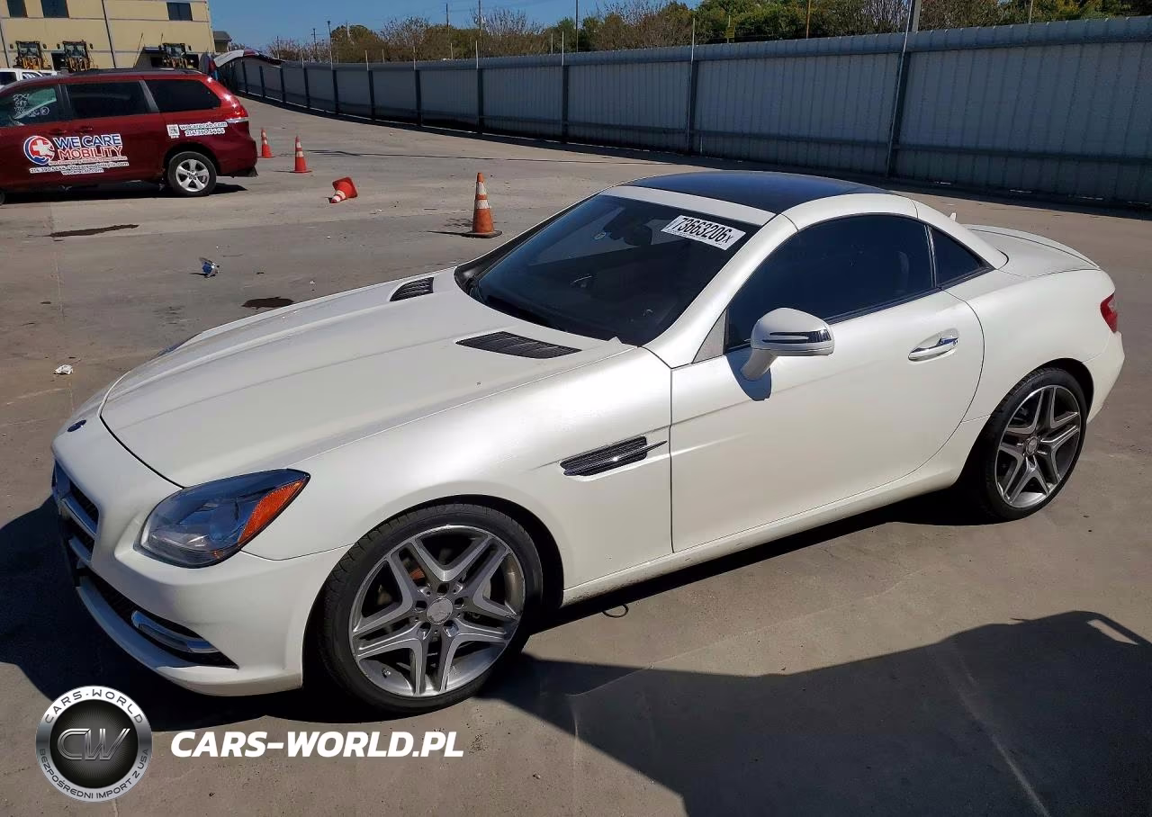 2014 Mercedes-Benz Slk 250
