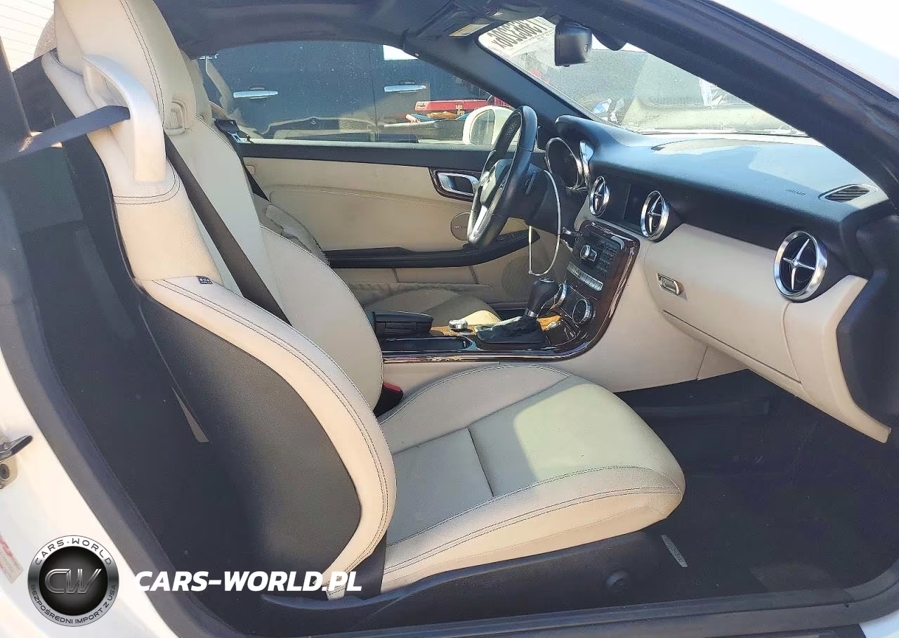 2014 Mercedes-Benz Slk 250 VIN:WDDPK4HA4EF089692 - 10