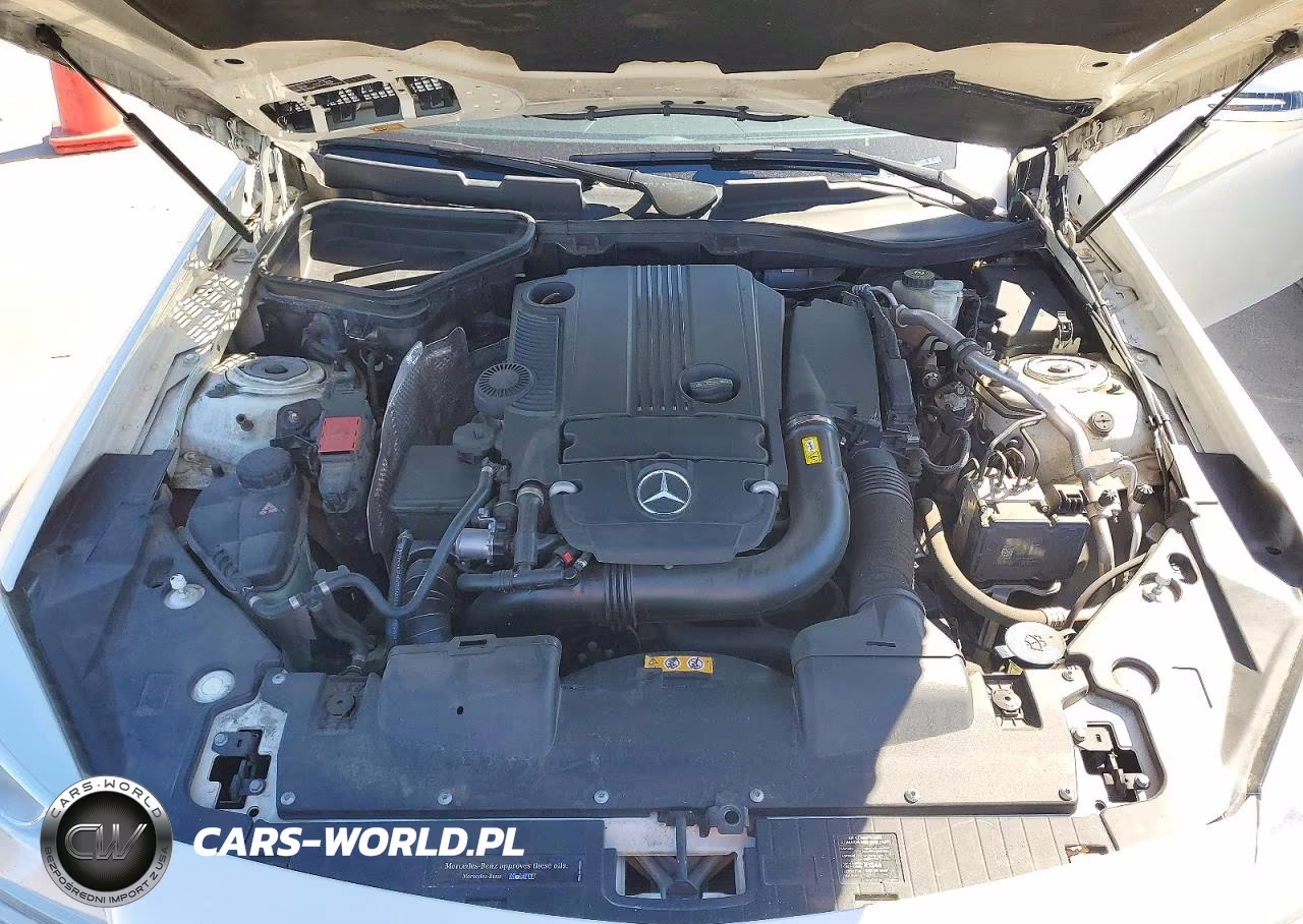 2014 Mercedes-Benz Slk 250 VIN:WDDPK4HA4EF089692 - 11