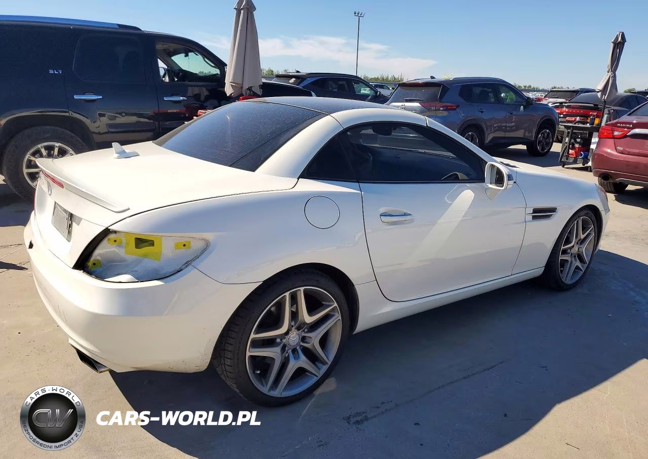 2014 Mercedes-Benz Slk 250 VIN:WDDPK4HA4EF089692 - 3