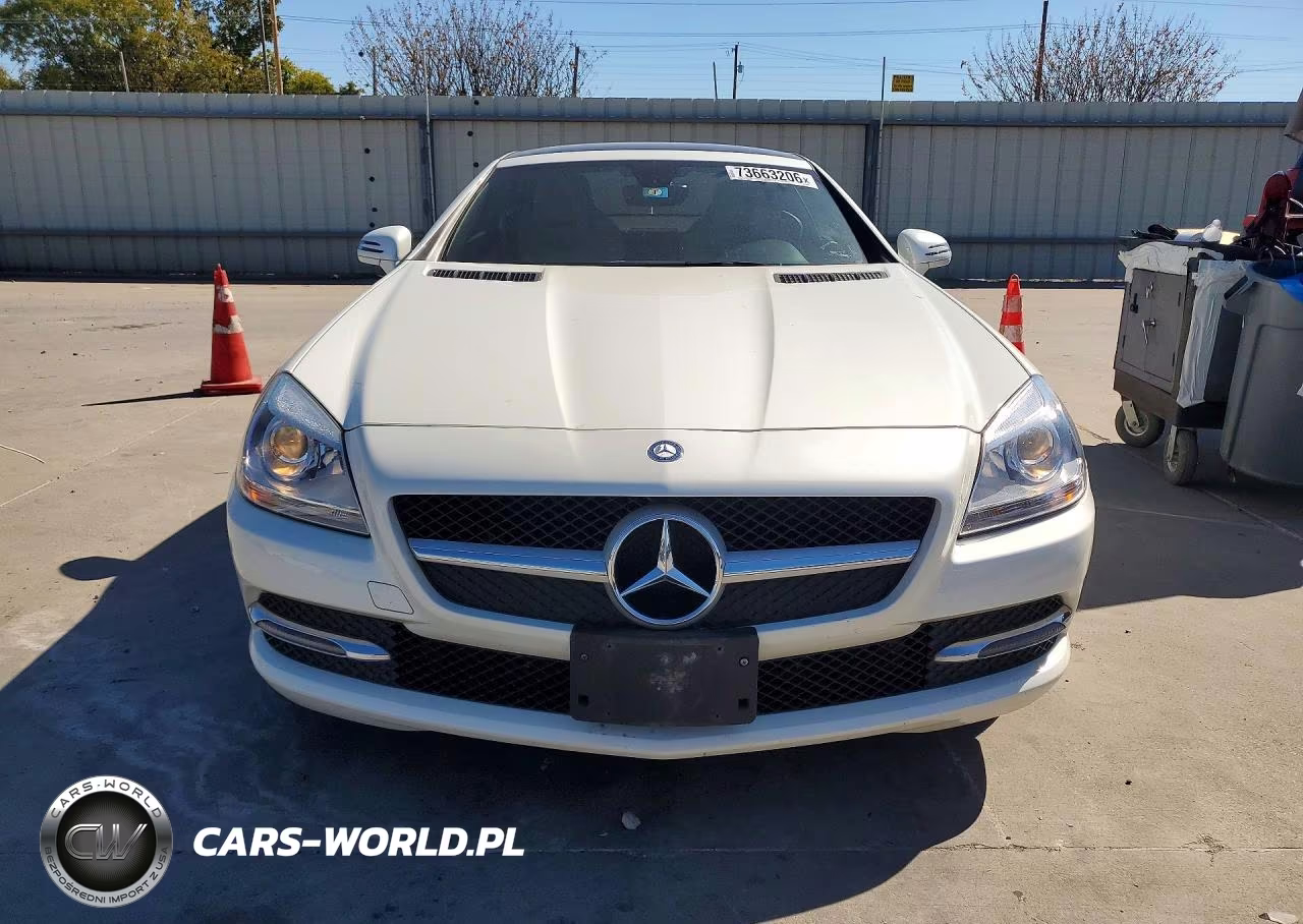 2014 Mercedes-Benz Slk 250 VIN:WDDPK4HA4EF089692 - 5