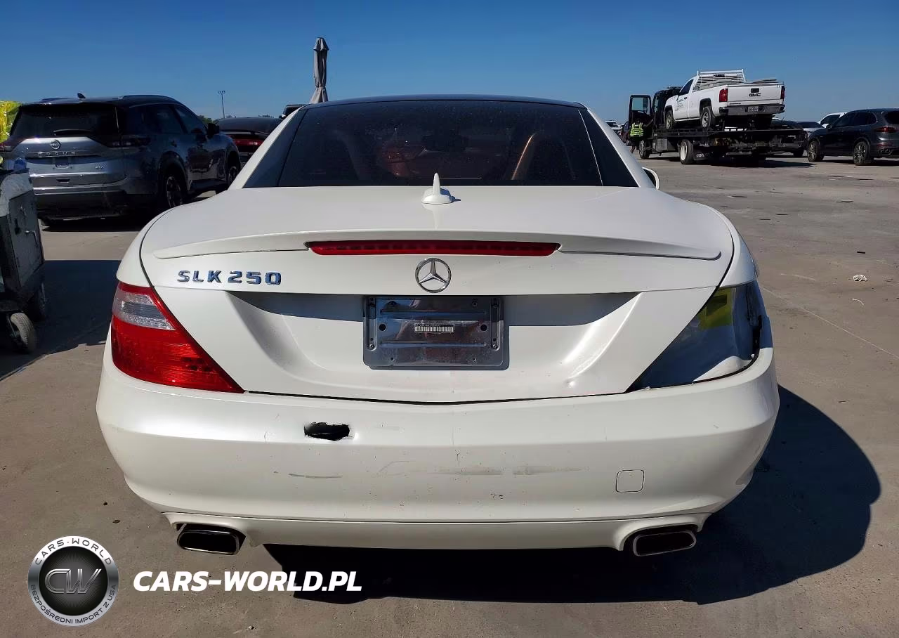2014 Mercedes-Benz Slk 250 VIN:WDDPK4HA4EF089692 - 6
