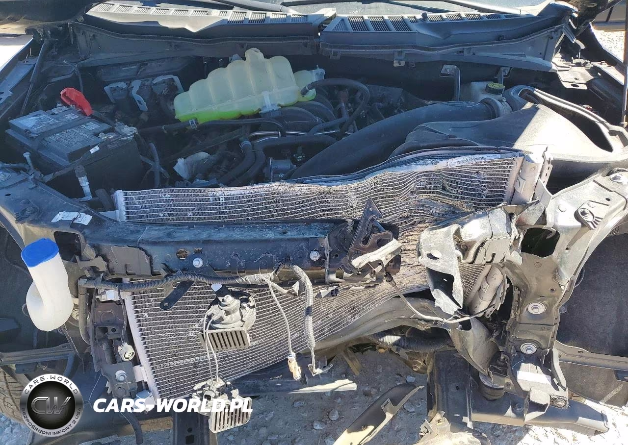 2025 Ford F150 Xlt VIN:1FTFW3L53SKE99756 - 11