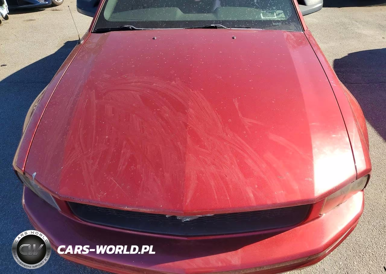 2006 Ford Mustang VIN:1ZVFT80N865246525 - 11