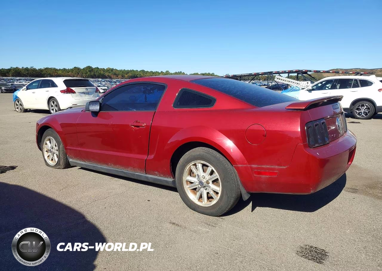 2006 Ford Mustang VIN:1ZVFT80N865246525 - 2