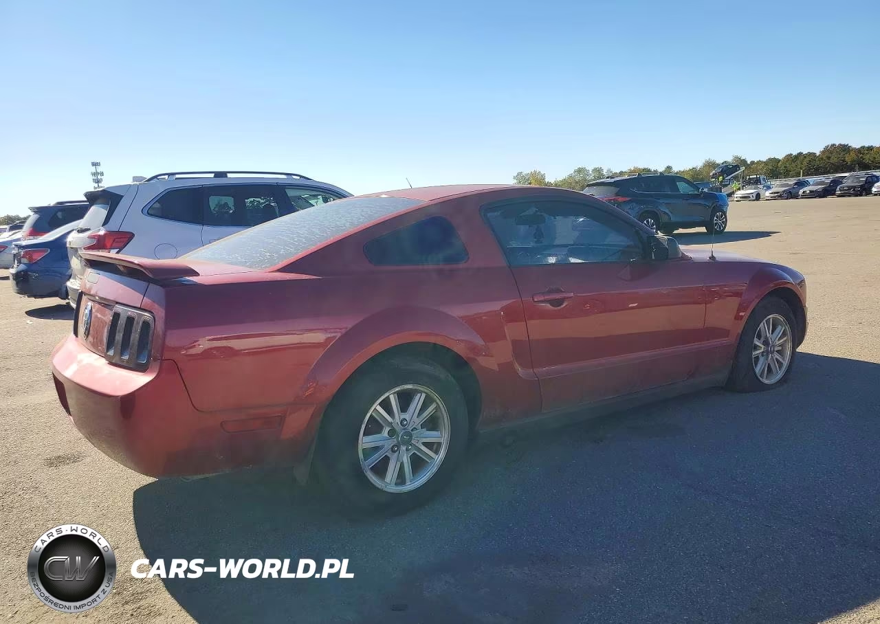 2006 Ford Mustang VIN:1ZVFT80N865246525 - 3