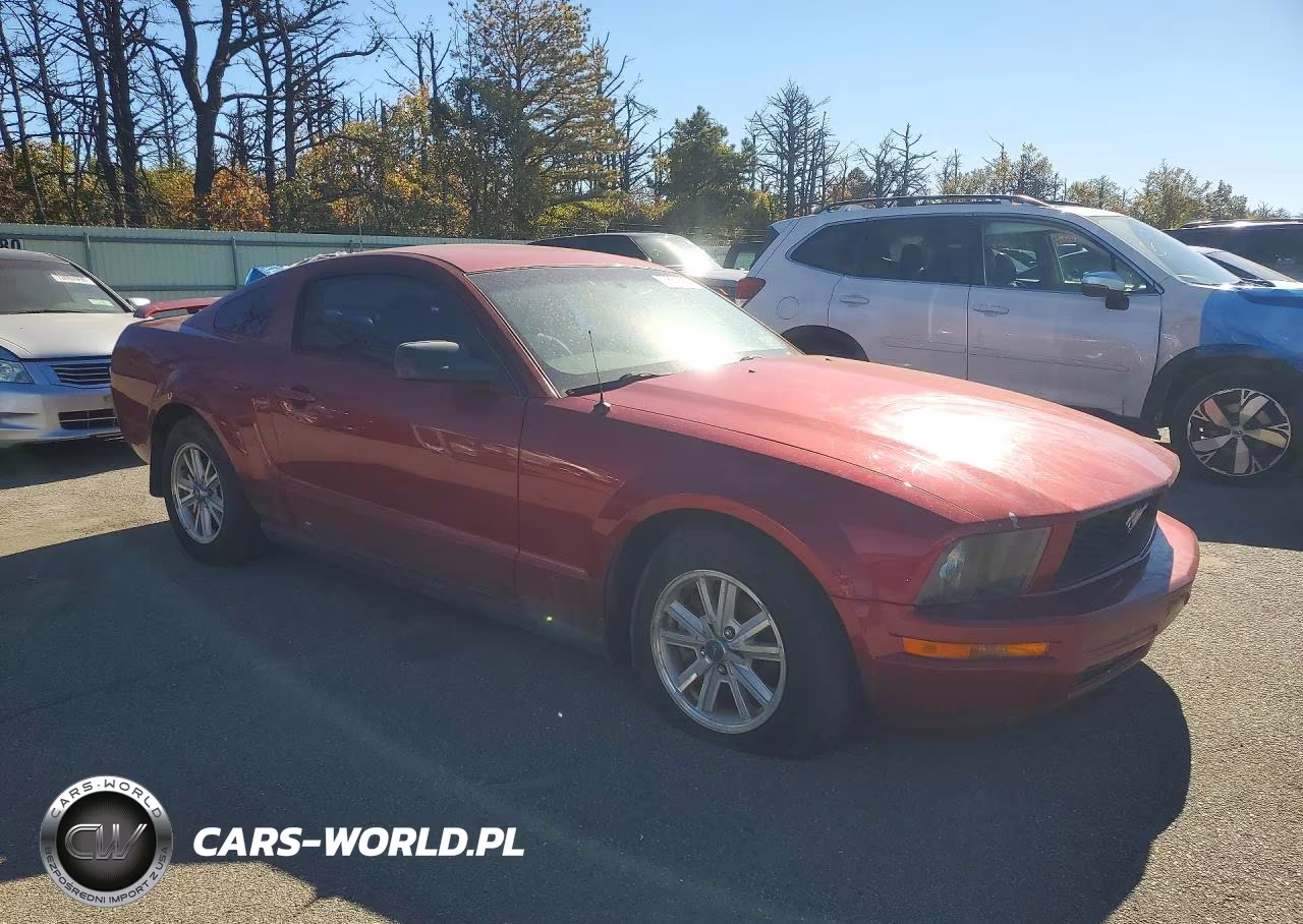 2006 Ford Mustang VIN:1ZVFT80N865246525 - 4
