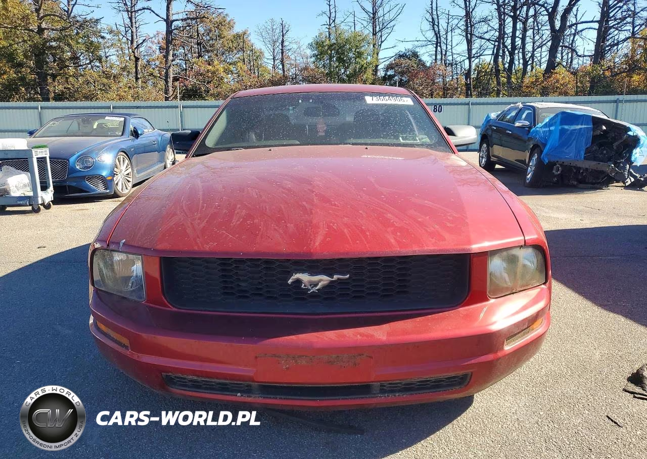 2006 Ford Mustang VIN:1ZVFT80N865246525 - 5