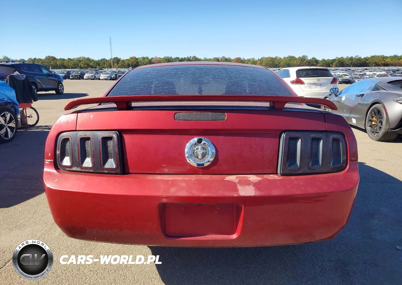 2006 Ford Mustang VIN:1ZVFT80N865246525 - 6