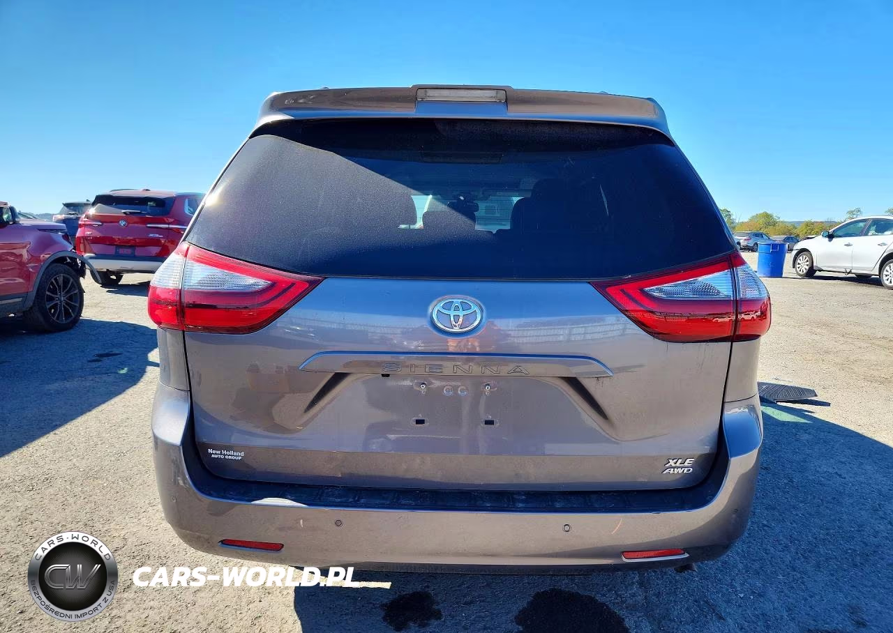 2020 Toyota Sienna Xle 7-Passenger VIN:5TDDZ3DC7LS242105 - 6