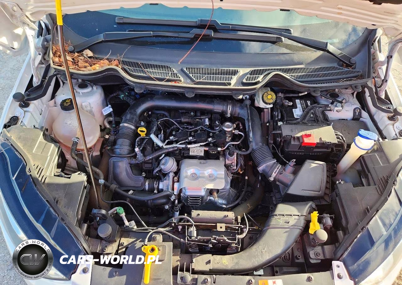 2019 Ford Ecosport Se VIN:MAJ3S2GE9KC263650 - 12